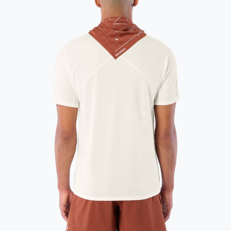 Pánske bežecké tričko Salomon Sense Aero GFX Tee SS whisper white/raind day/bright white 2