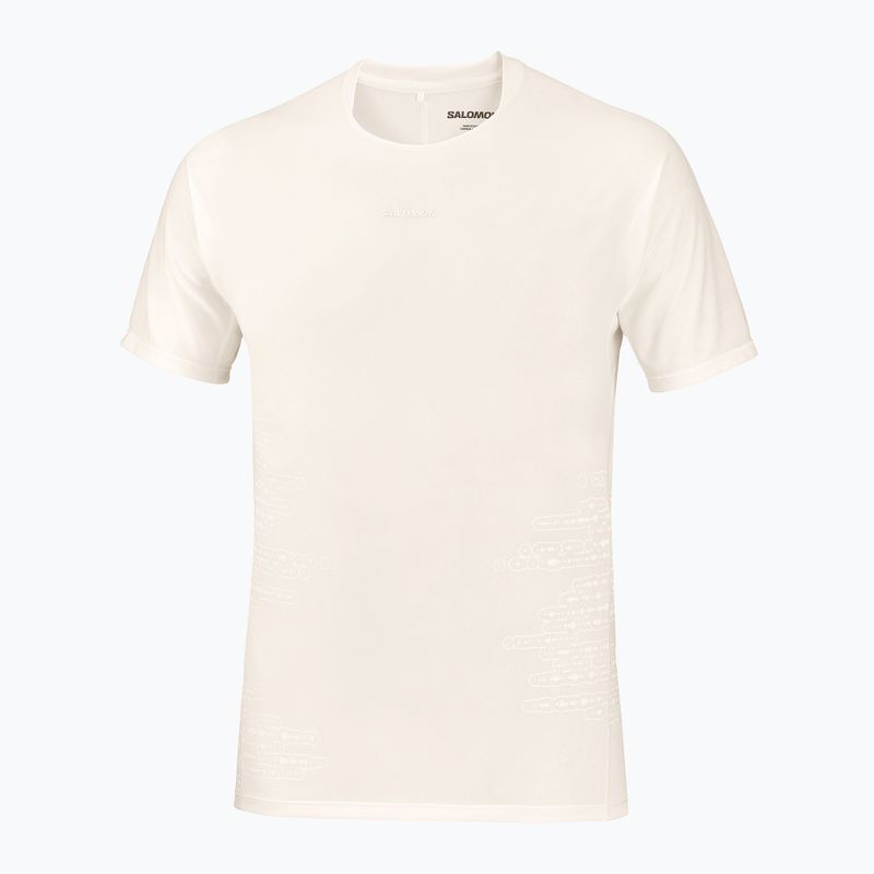 Pánske bežecké tričko Salomon Sense Aero GFX Tee SS whisper white/raind day/bright white 5