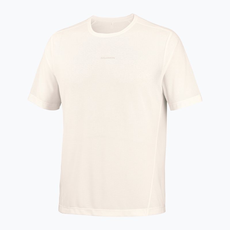 Pánske bežecké tričko Salomon Shakeout Core GFX SS Tee whisper white/pink frosting 5