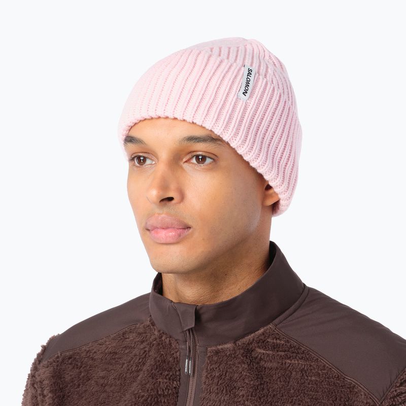 Zimná čiapka Salomon Snowbird icy pink 2