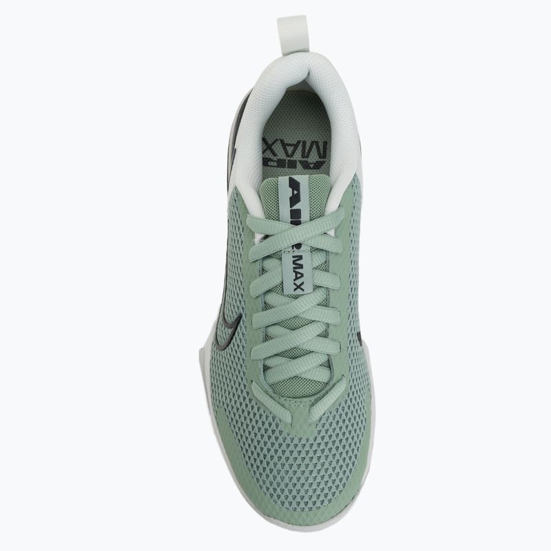 Pánske tréningové topánky Nike Air Max Alpha Trainer 6 steam/spruce aura/off white/black spruce 5