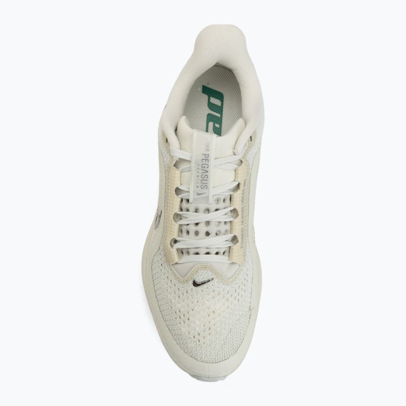 Dámske bežecké topánky Nike Pegasus Premium sea glass/malachite/metallic silver 5