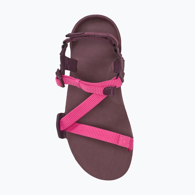 Dámske barefoot sandále Xero Shoes Z-Trail EV fuchsia purple 5
