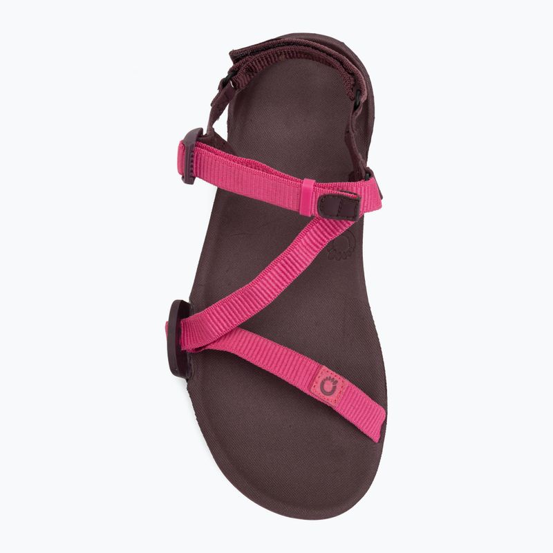 Dámske barefoot sandále Xero Shoes Z-Trail EV fuchsia purple 5