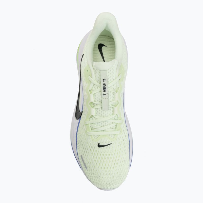 Pánske bežecké topánky Nike Winflo 12 volt tint/white/sapphire/black spruce 5