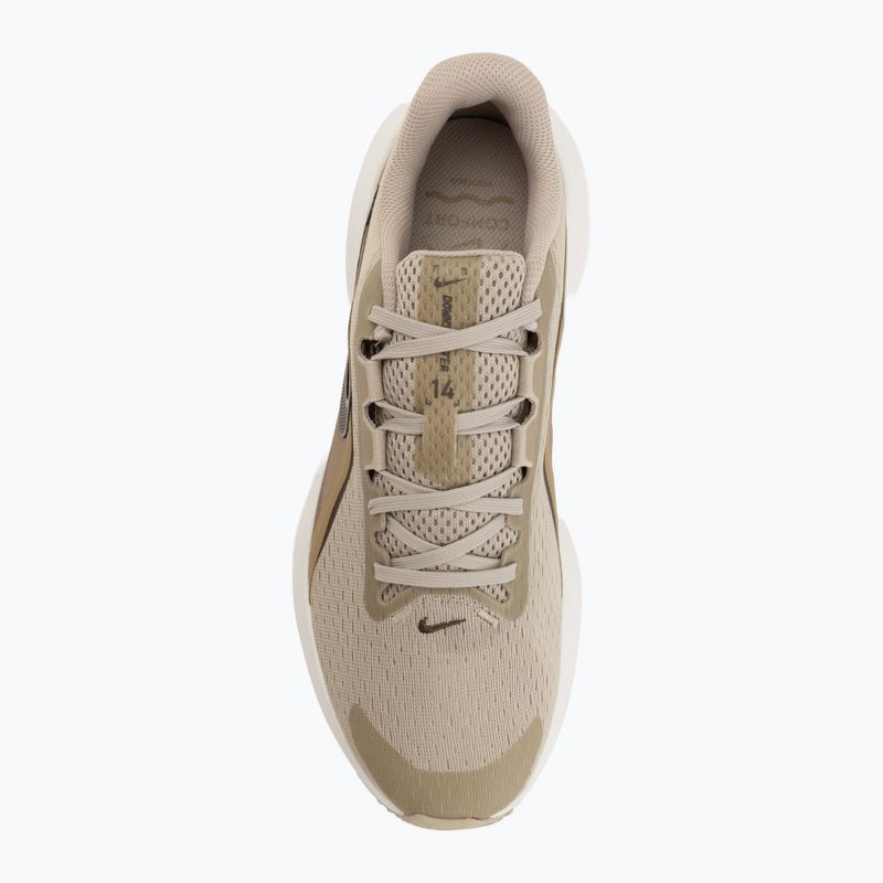 Pánske bežecké topánky Nike Downshifter 14 desert khaki/sail/filbert/dark hazel 5