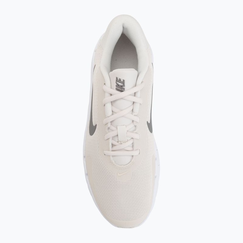 Pánske tréningové topánky Nike Flex Train phantom/white/sail/pencil point 5