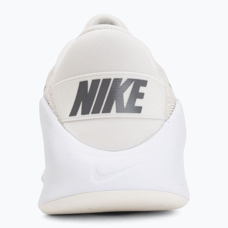 Pánske tréningové topánky Nike Flex Train phantom/white/sail/pencil point 6
