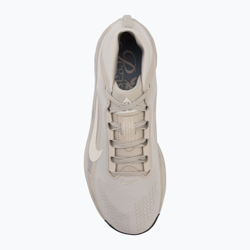 Pánske bežecké topánky Nike ACG Pegasus Trail GORE-TEX Cream Ii/Light Orewood Brown 5