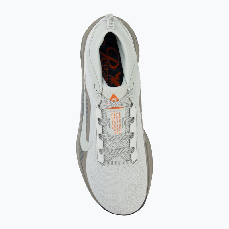 Pánske bežecké topánky Nike ACG Pegasus Trail GORE-TEX Light Silver/Light Army/Light Silver 5