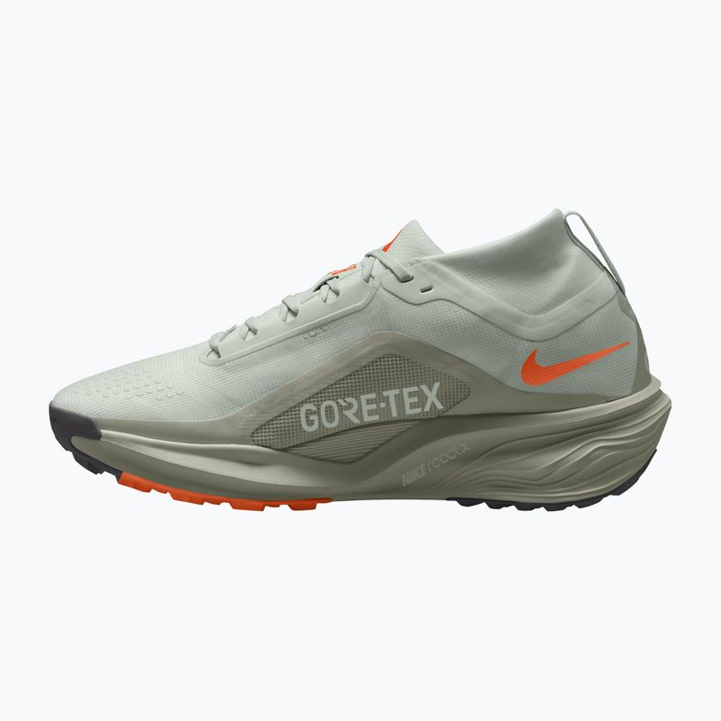 Pánske bežecké topánky Nike ACG Pegasus Trail GORE-TEX Light Silver/Light Army/Light Silver 2
