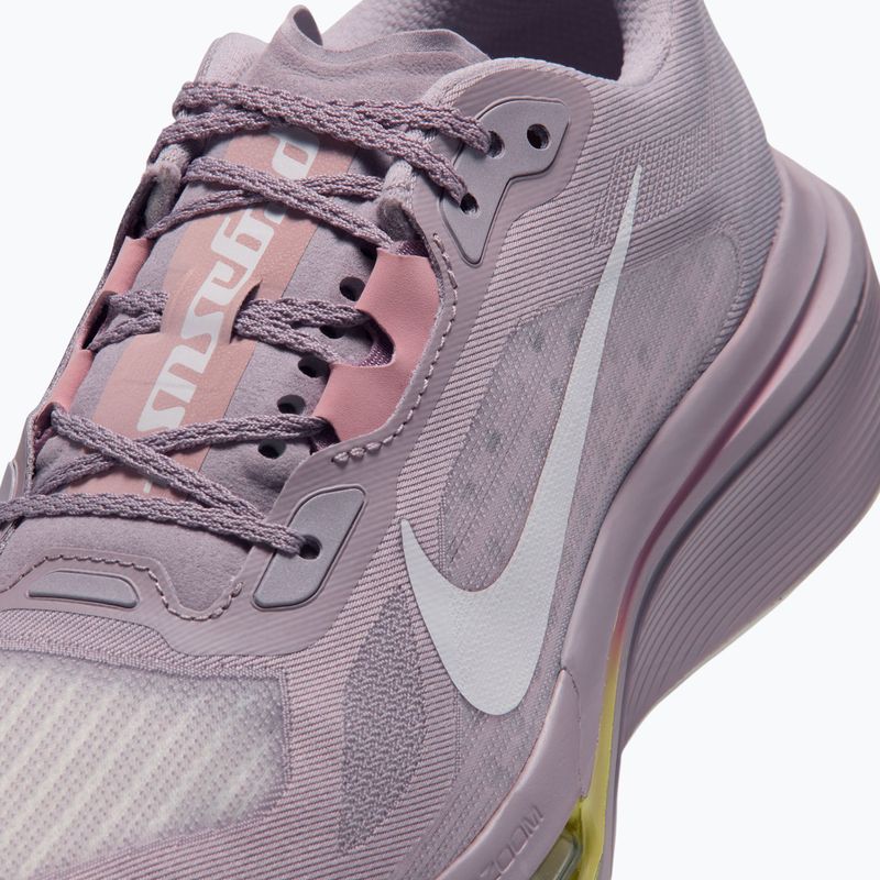 Dámske bežecké topánky Nike Pegasus Plus 2 silver lilac/particle rose/fennel/sail 5