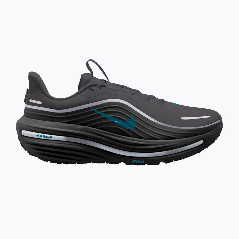 Pánske bežecké topánky Nike Winflo 12 GORE-TEX anthracite/black/bright spruce