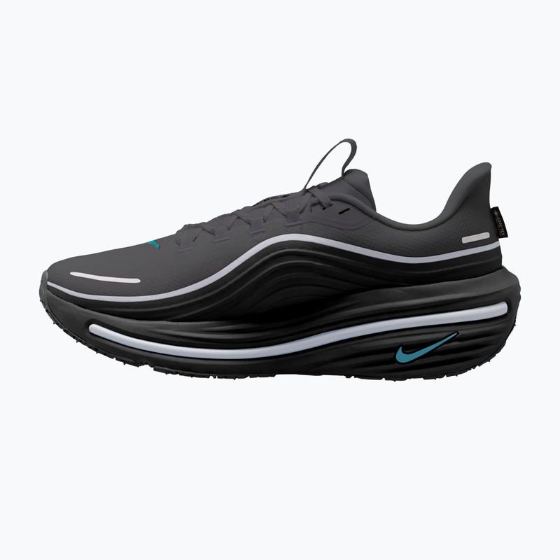Pánske bežecké topánky Nike Winflo 12 GORE-TEX anthracite/black/bright spruce 2