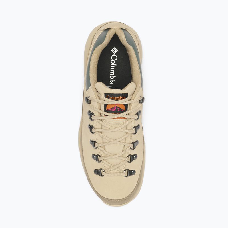 Pánske turistické topánky Columbia Newton Alpine Low fossil/sedona sage 4