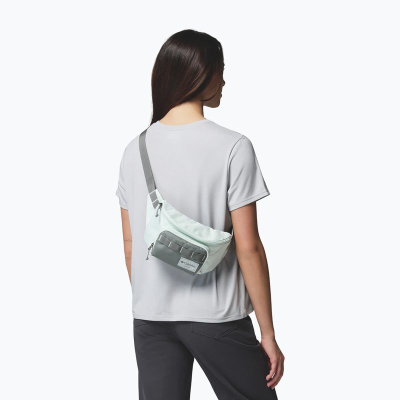 Ľadvinka Columbia Zigzag II Hip Pack 1 l sedona sage/tea light 6