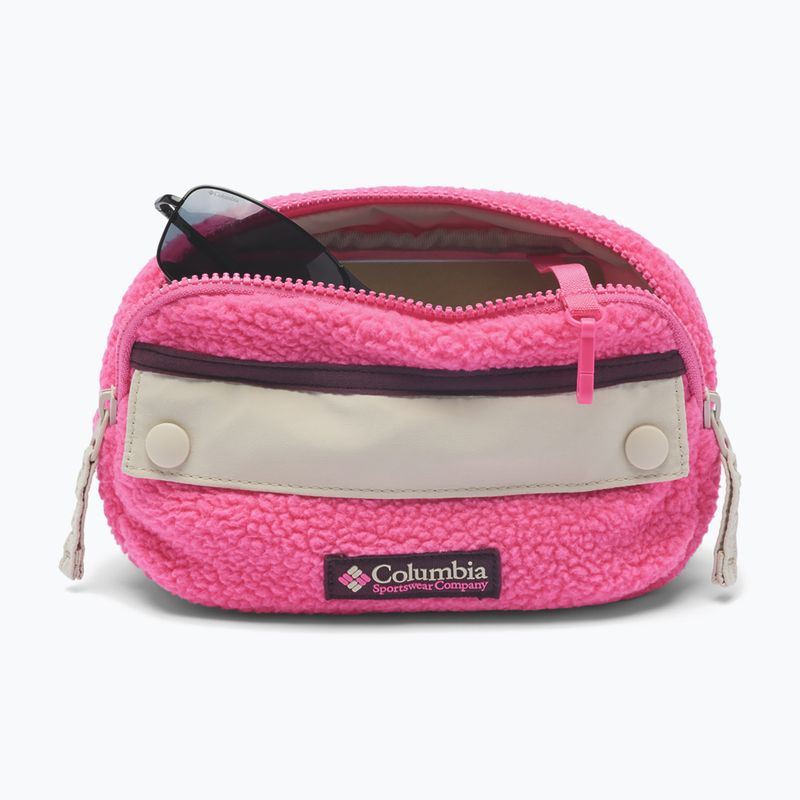 Ľadvinka Columbia Helvetia II Hip Pack 1 l nico/dark stone 3