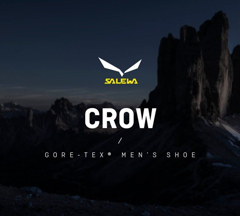 Salewa pánske vysoké horské topánky Crow GTX brown 00-0000061328 12