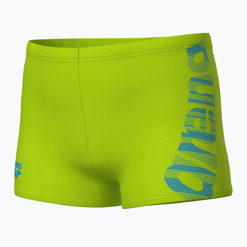 Detské plavky boxerky arena Graphic Swim Short artic lime 3