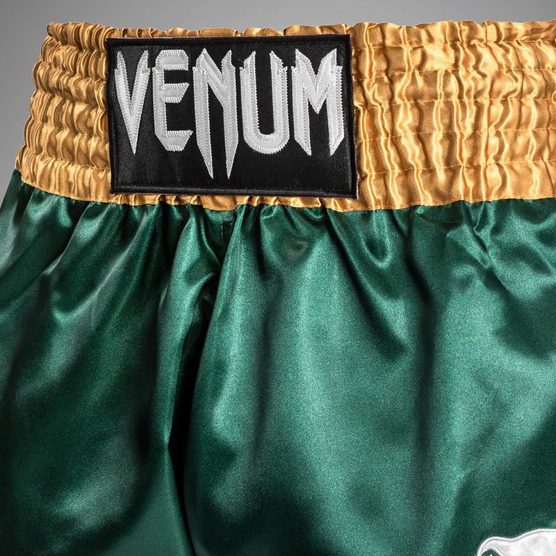 Pánske tréningové šortky Venum Classic Muay Thai green/gold/white 6