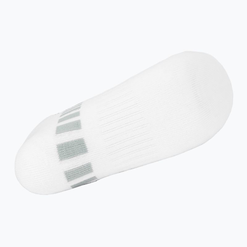 Ponožky Venum Vector No-Show 3 páry white/grey 5