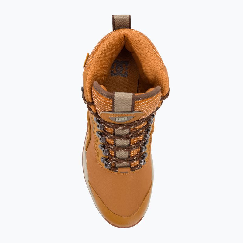 Pánske topánky DC Navigator Winter wheat/dark chocolate 6