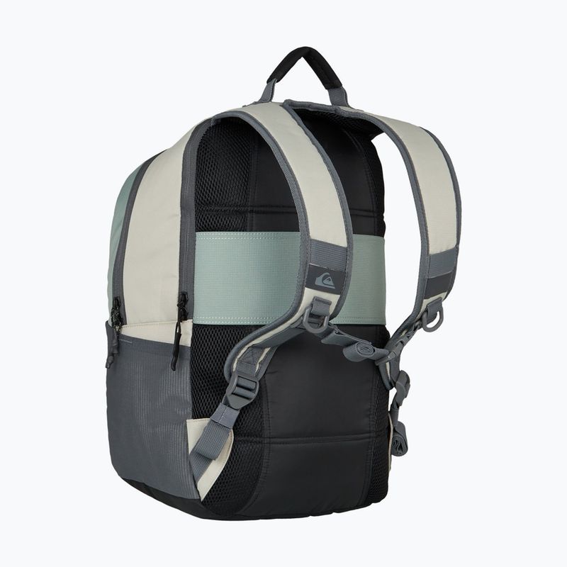Mestský batoh Quiksilver Freeday 20 l bran 3