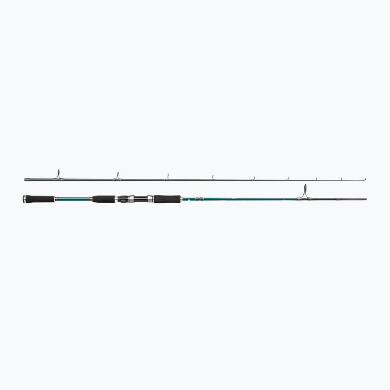Prút Abu Garcia Beast X Pike 842 H