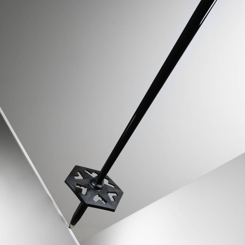 Lyžiarske palice Black Crows Oxus black/pink 9