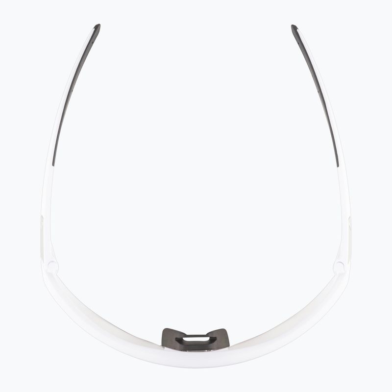 Slnečné okuliare Alpina 6