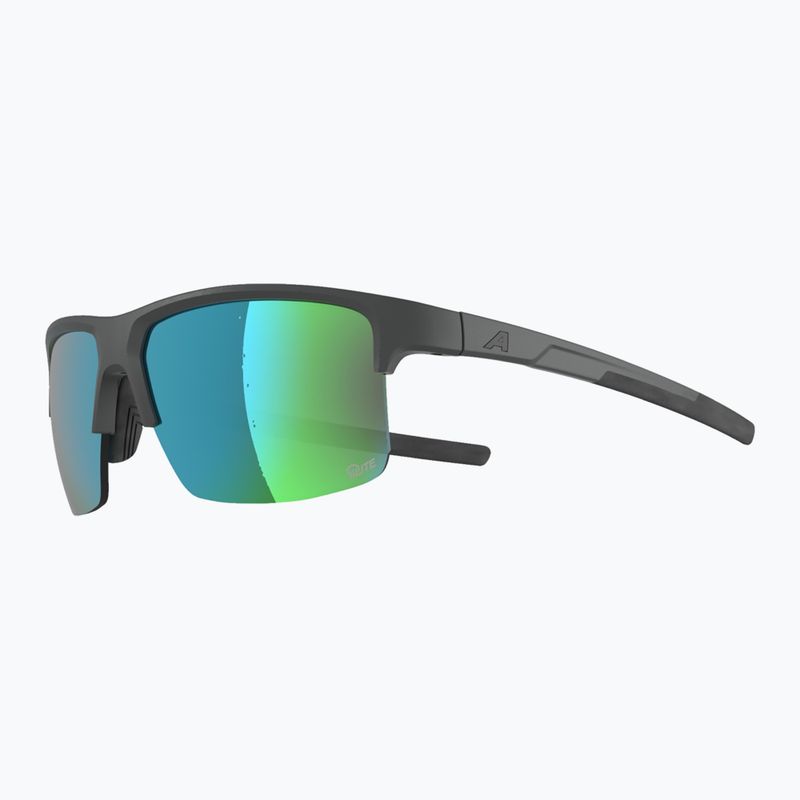 Slnečné okuliare Alpina Eagle Q-Lite midnight/grey matt/green 3