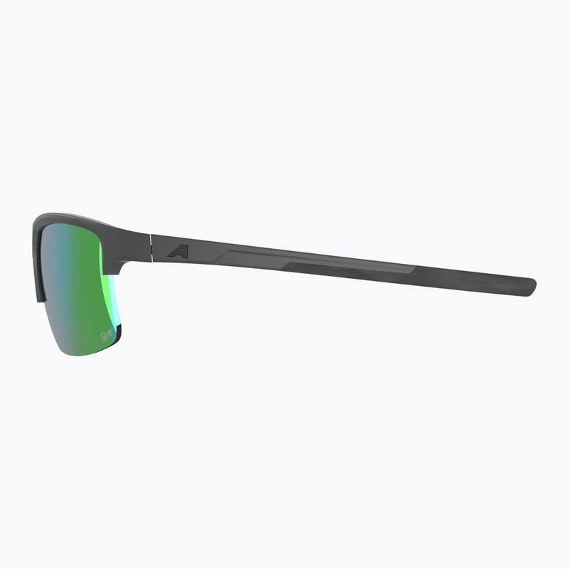 Slnečné okuliare Alpina Eagle Q-Lite midnight/grey matt/green 5