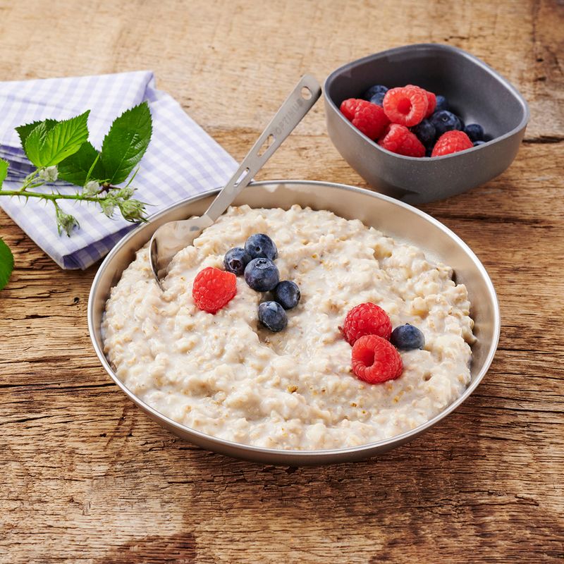 Mrazom sušené potraviny Trek'n Eat Oat Bowl 3118 3