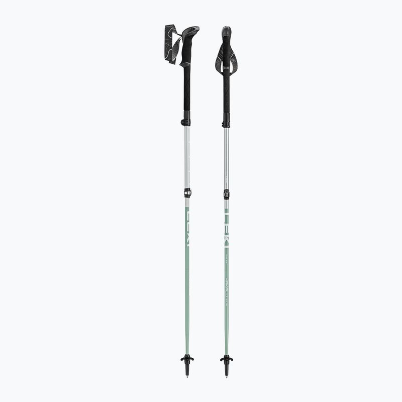 Trekingové palice LEKI Makalu FX TA silver/greygreen/white