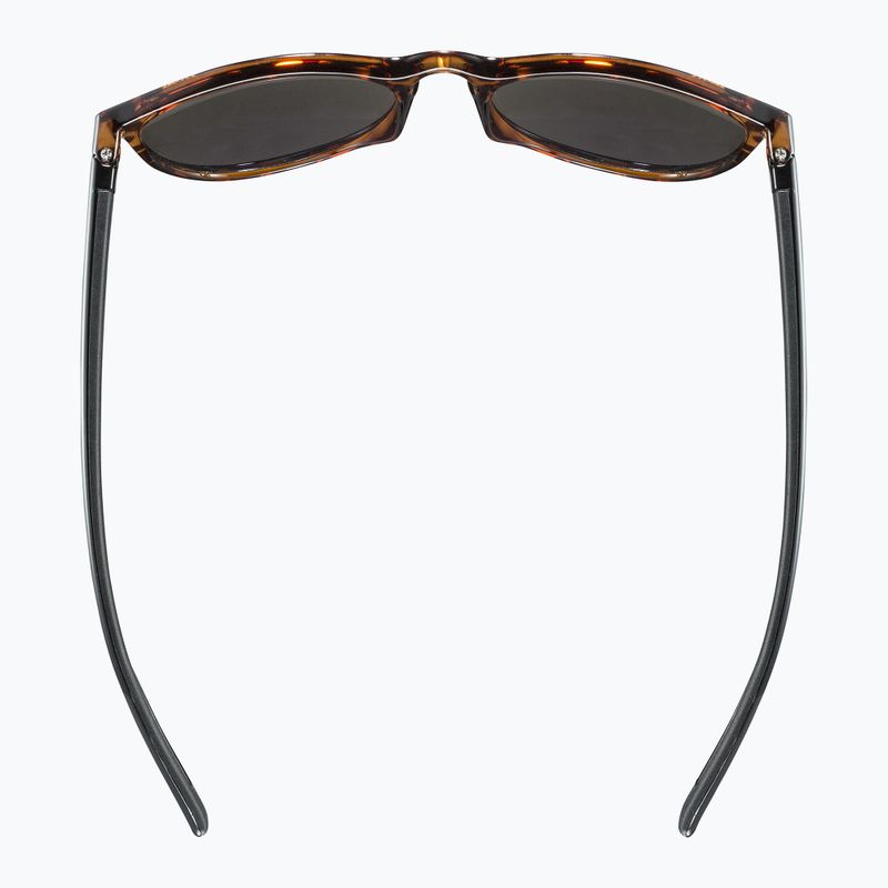 Slnečné okuliare UVEX Lgl 43 havanna black/mirror green 4
