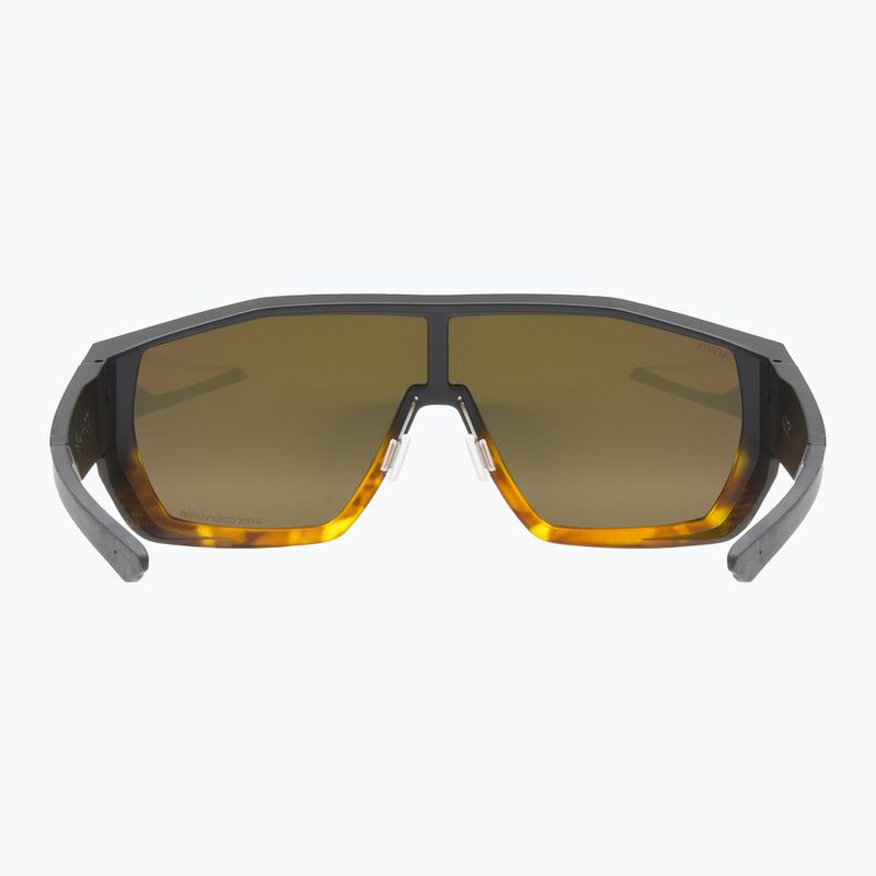 Slnečné okuliare UVEX Mtn Style CV havanna matt fade/mirror champagne 3