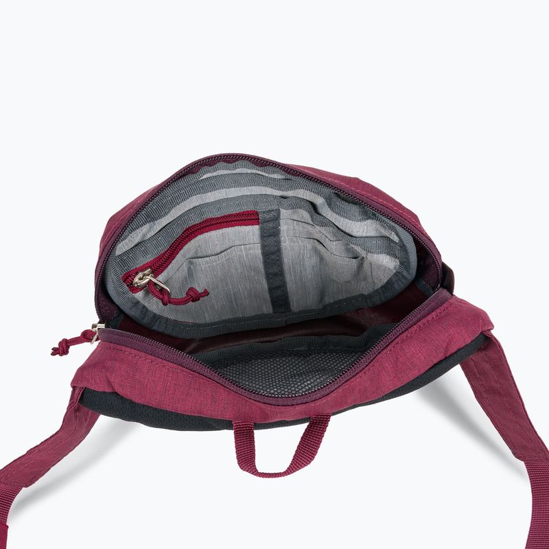 Ľadvinka deuter Organizer Belt 1.8 l maron 3