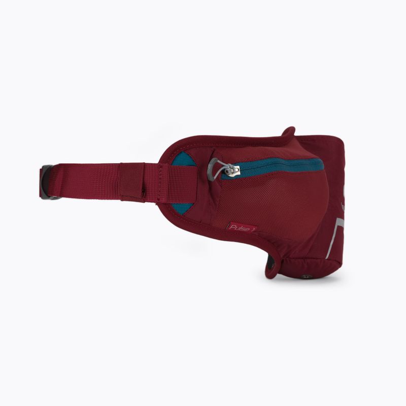 Ľadvinka deuter Pulse 1 cranberry 3