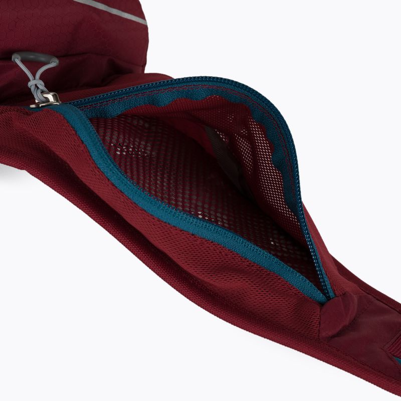 Ľadvinka deuter Pulse 1 cranberry 4