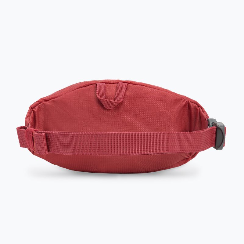 Ľadvinka detská deuter Belt 1 l currant 4