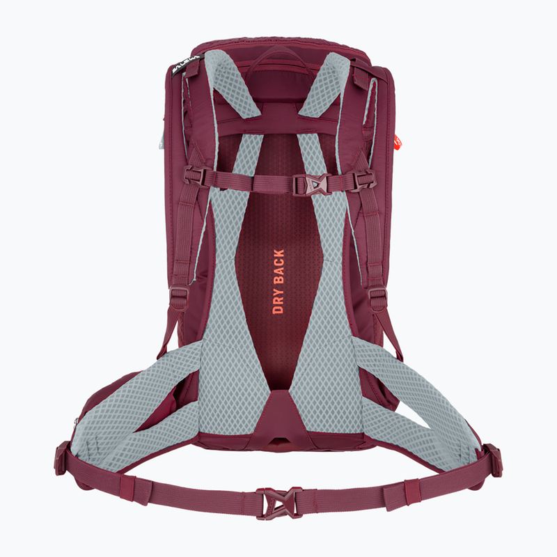 Salewa Alp Trainer 20 dámsky trekingový batoh fialová 00-0000001262 2