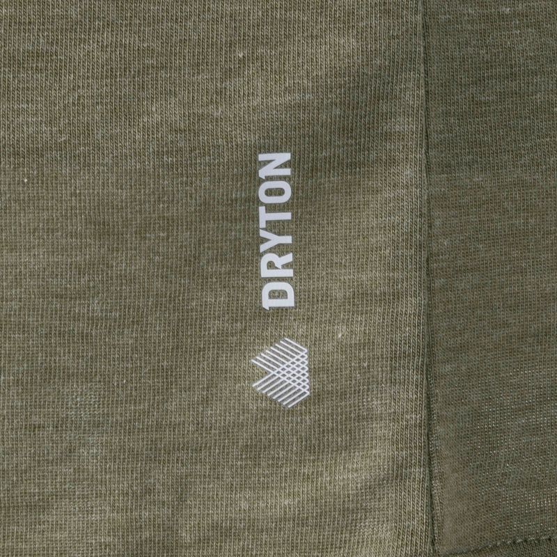 Pánske trekingové tričko Salewa Solidlogo Dry khaki 00-0000027018 7
