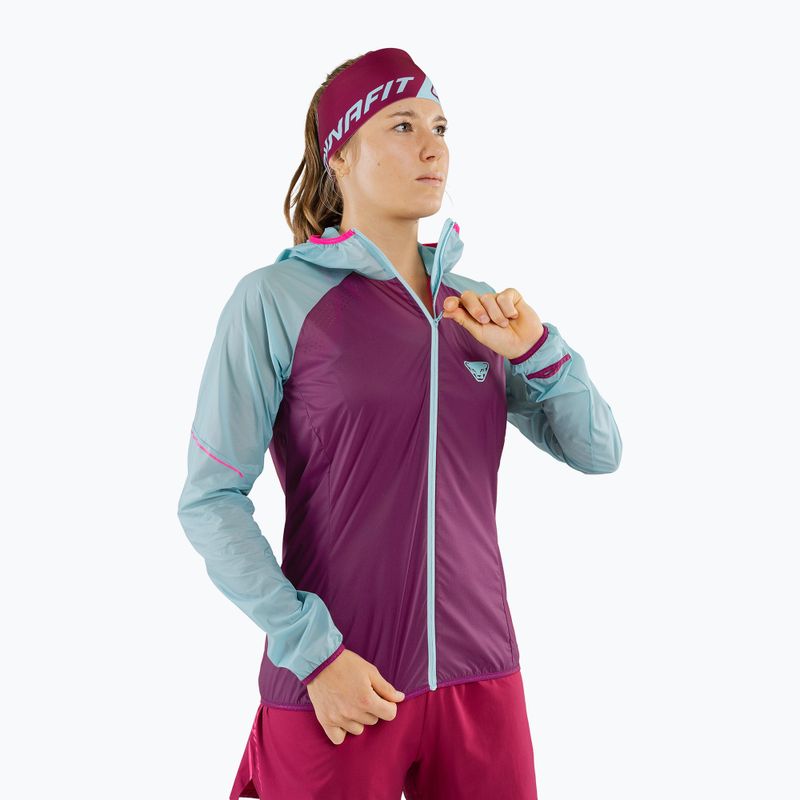 Dámska bežecká bunda DYNAFIT Alpine Wind 2 purple-blue 08-0000071155 3