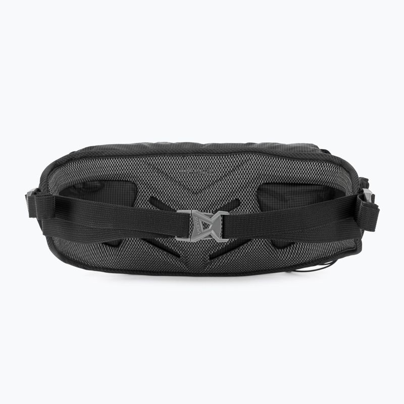 Ľadvinka  Salewa Lite Train Hipbelt black 3