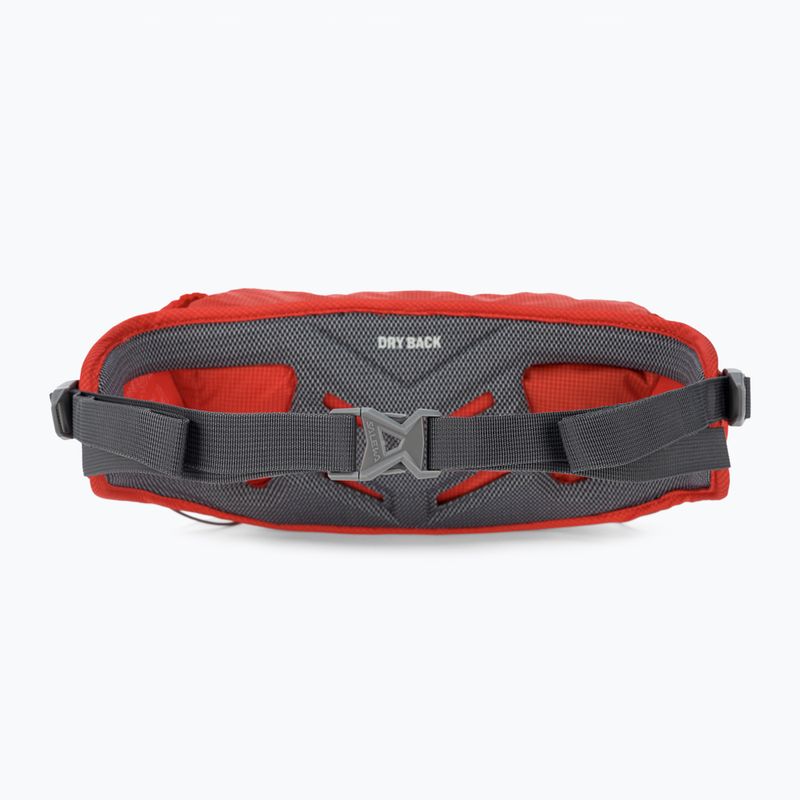 Ľadvinka Salewa Lite Train Hipbelt flame 3