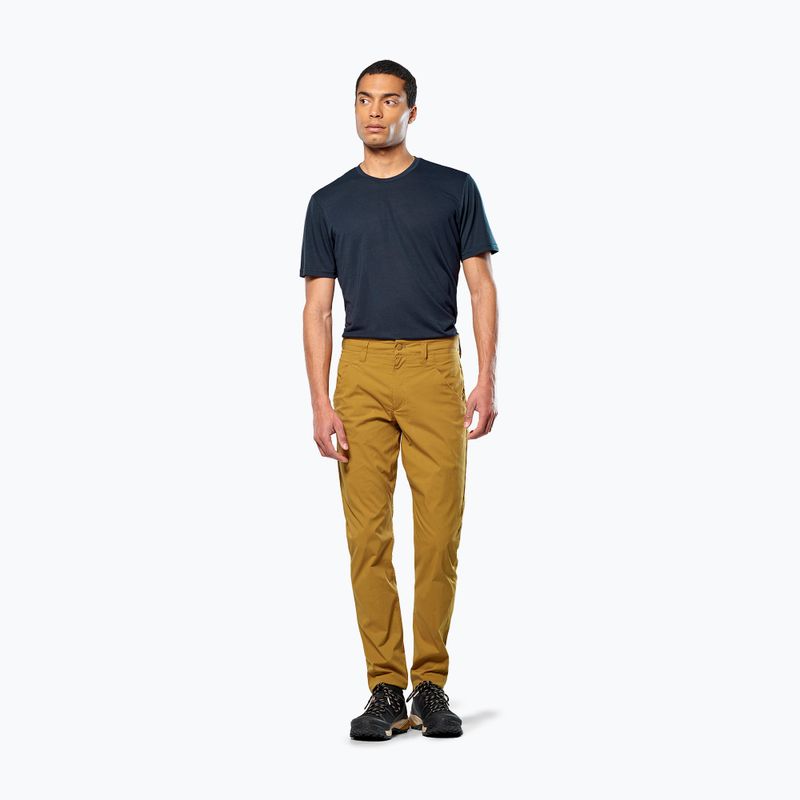 Pánske trekingové nohavice Salewa Fanes Light golden brown 2