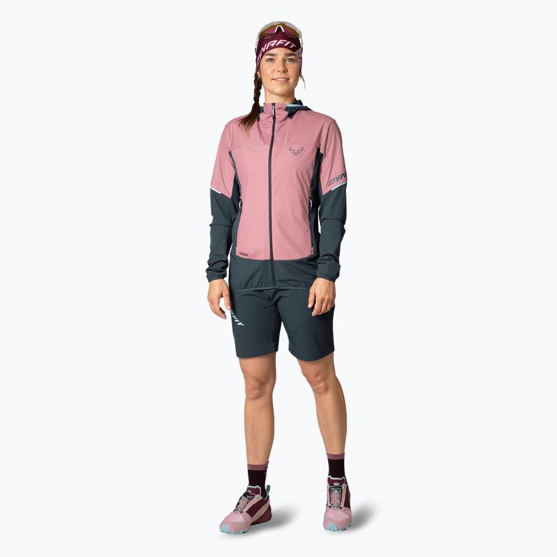 Dámska trekingová mikina DYNAFIT Traverse Alpha Hooded mokarosa 2