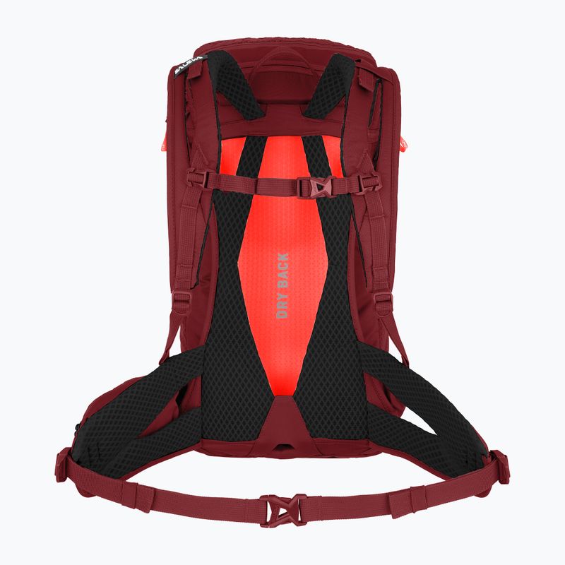 dámsky turistický batoh Salewa Alp Trainer 20 l syrah 2