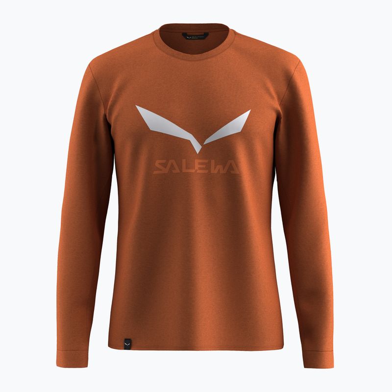 Pánske tričko longsleeve Salewa Solidlogo Dry bombay brown