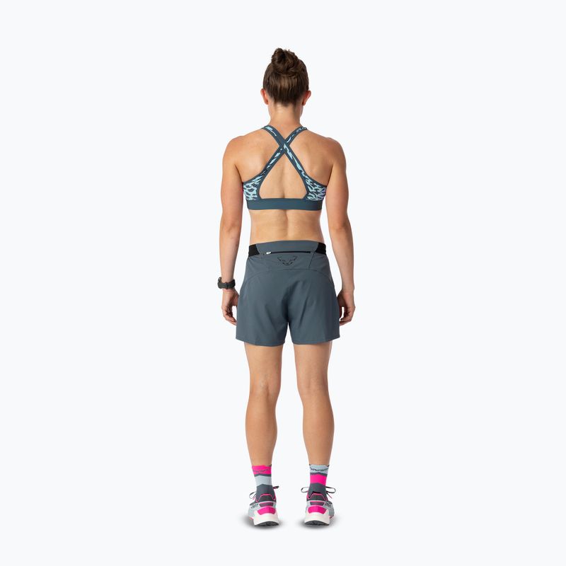 Fitness podprsenka DYNAFIT Alpine Graphic cloud blue 4